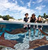Discovery Cove: Ticket 1 dag