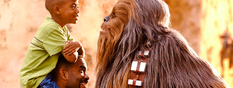 Season of the Force