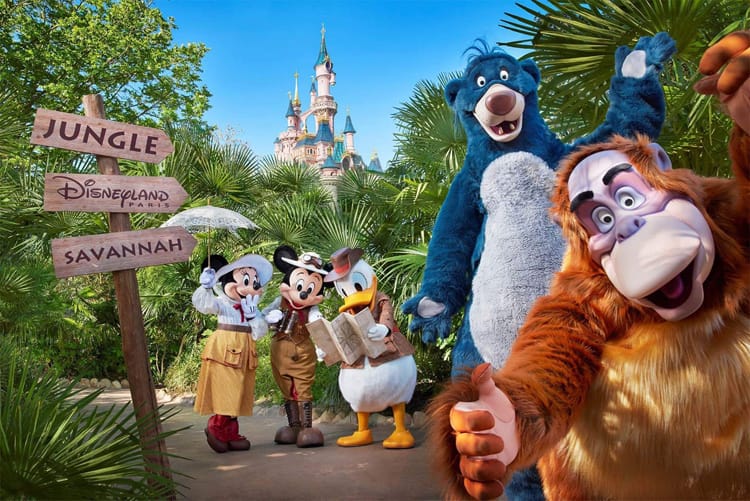 Uitschakelen Consequent Onhandig The Lion King & Jungle Festival in Disneyland Parijs | Info & Aanbiedingen  - Disneyland Parijs - DiscoverTheMagic.nl