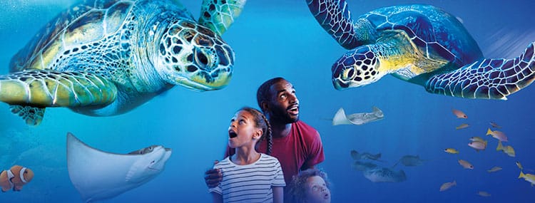 Magische onderwaterwereld Aquarium SEA Life Paris Val d'Europe bij Disneyland Paris