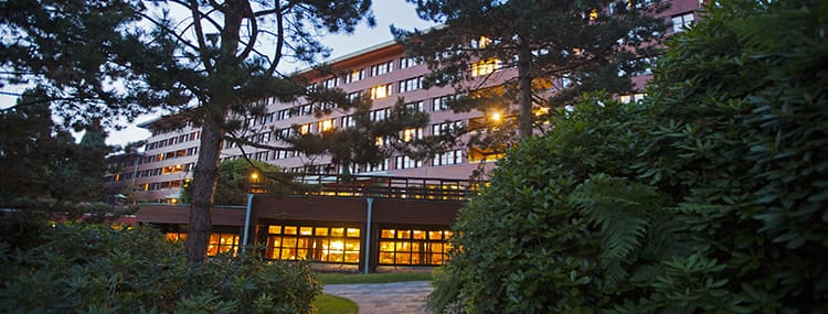 Hotel Special Disneyland Paris: Golden Forest Club in Disney's Sequoia Lodge