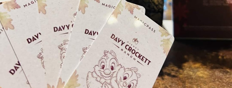 Unieke designs Magic Pass voor gasten van de Disney hotels in Disneyland Paris