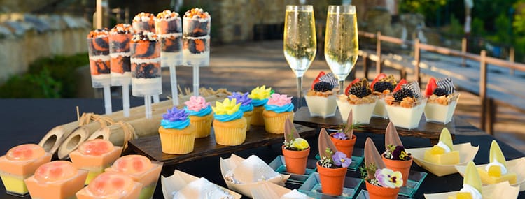 Dessert Party's in Walt Disney World met snacks, drank en speciale VIP plekken bij shows