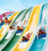 SeaWorld Aquatica: Ticket 1 dag